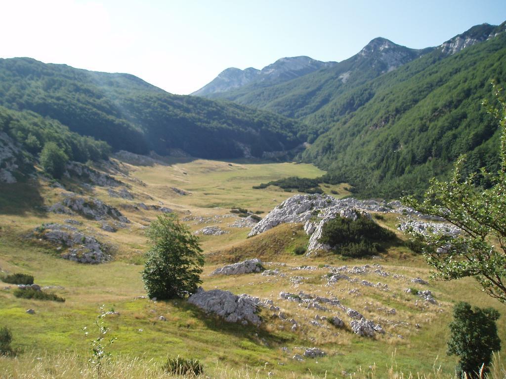 Apartments Amari Starigrad Paklenica Dış mekan fotoğraf