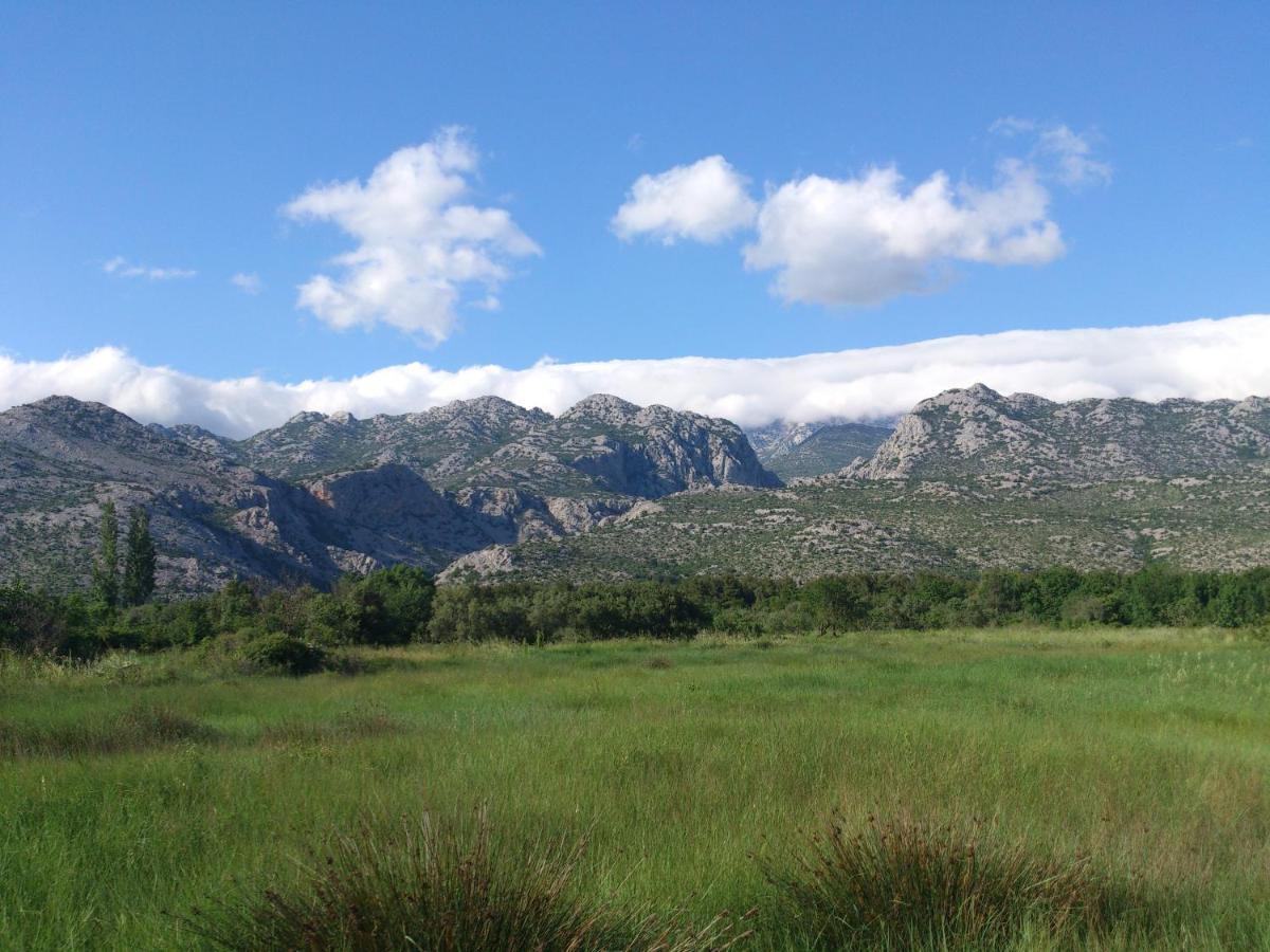 Apartments Amari Starigrad Paklenica Dış mekan fotoğraf